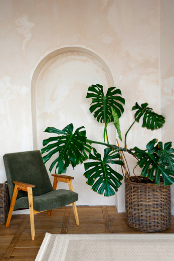 Dywan Milano 090 vizion/beige Beż Krem Ramka Frędzelki