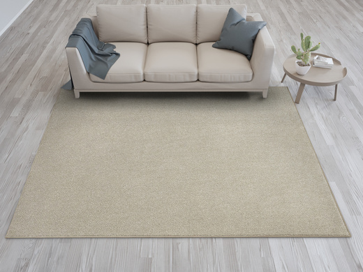 Dywan New Montego 168 Beż Melanż