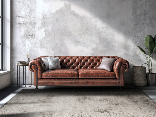 Dywan Nantes NT211A Vizon/Vizon Szarobeżowy Krem Ornament