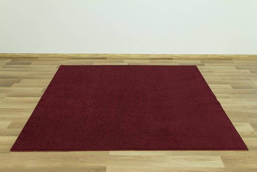 Dywan Princess 20 bordo filc