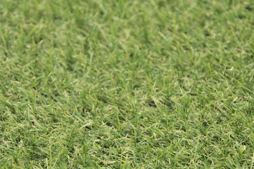 Sztuczna Trawa Star 18 mm