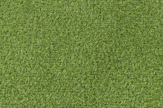 Sztuczna trawa zielona Rapid 18mm