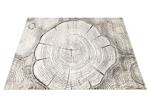 Dywan Matara P156A l.grey/sp.antr Szary Beż Krem Pień