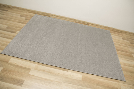 Luksusowy Dywan Phoenix-Classic 74 Szary