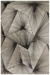 Dywan Studio E840A Geometria Czarny Kremowy