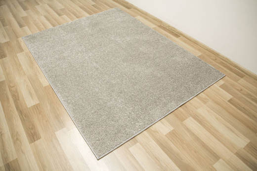 Dywan Pisa-Speciaal 174 Lśniący Szary Srebrny