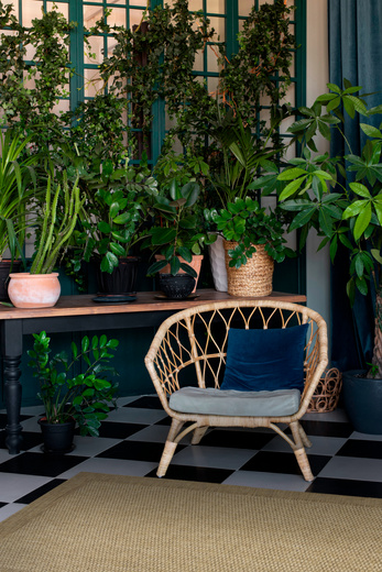 Dywan Sznurkowy Ella ST036A brown/brown Beż Brąz Ramka Outdoor