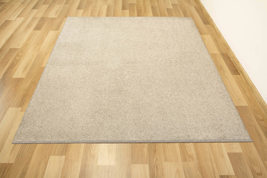 Dywan Bardolino-Flash 174 Szary Srebrny